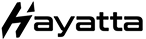 Logo.ai 1